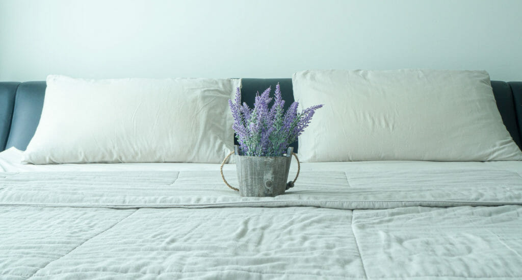 Herbs To Help You Sleep