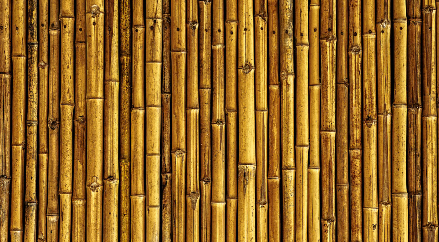 Бамбук мелкий